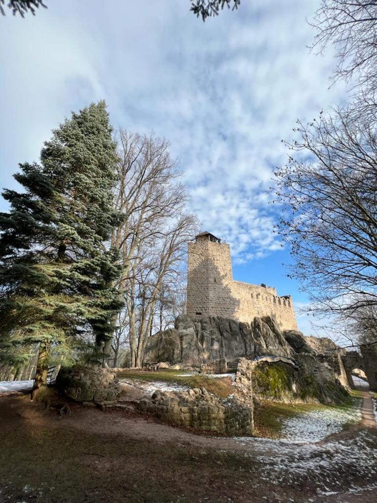 Bonne Idee - Suite Georgette - Meuble De Tourisme 3 Etoiles Châtenois Exteriör bild